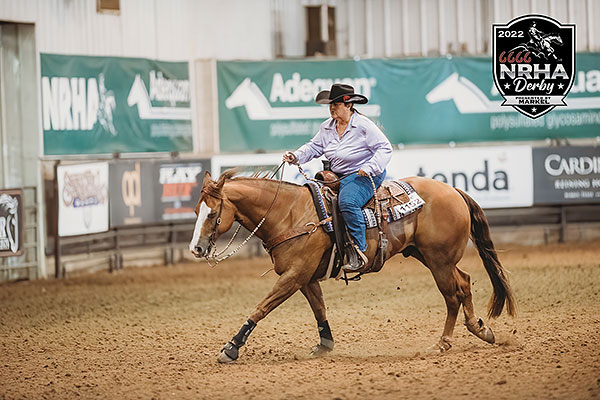 nrha reining patterns 2009