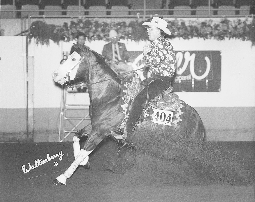 nrha reining patterns 2009