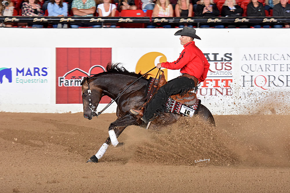 Tim Anderson Becomes NRHA Million Dollar Owner - Quarter Horse News